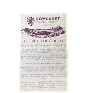 Ins And Outs Of Cricket T- Towel