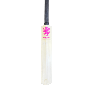 Somerset CCC Mini Bat