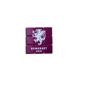 Somerset CCC Rubbix Cube